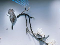 -上海科技馆-探索之光