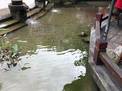 -三道苗苗鱼(三道堰老字号店)