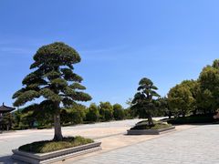 -狼山风景名胜区