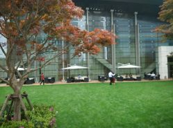 点击看大图 -上海中心宴会厅·婚礼中心