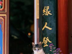 -寂照庵