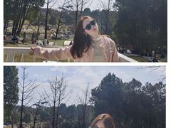 -铁山坪森林公园