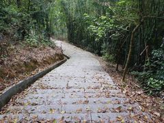 -红山村