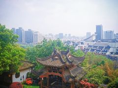 -黄鹤楼公园(黄鹤楼)