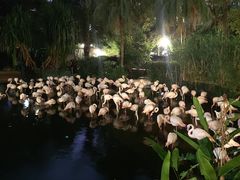 -九龙公园