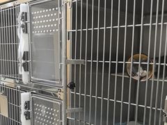 -圣宠动物医院·犬猫专科·影像中心·外科中心