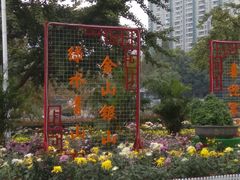-西北湖绿化广场