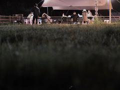 -趣多多宠物公园·宠物训犬学校·宠物寄养