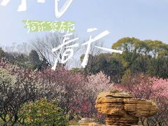 -无锡梅园公园