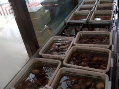 -莆鑫海鲜城(浏河店)