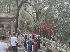 -灵岩山风景区