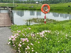 -洋湖国家湿地公园