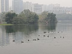 -南宁南湖公园