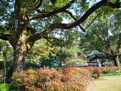 -申粤轩酒楼·三十年粤菜经典(丁香花园店)
