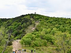 -大觉寺-停车场