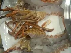 -青蓬蒸汽海鲜·深圳老字号·团建聚会(壹方城店)