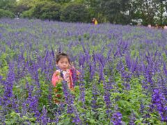 -松山湖梦幻百花洲