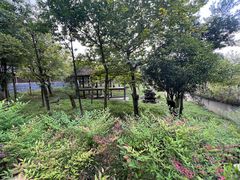 -碧峰峡风景区