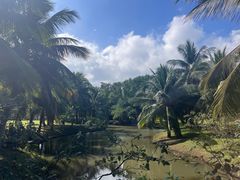 -白沙门生态公园