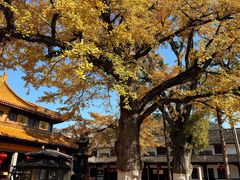 -溪口-滕头旅游景区