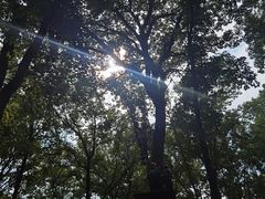 -WeLope紫金山探险公园