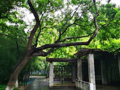 -宣武艺园