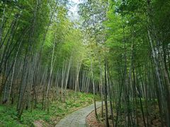 -广州市石门国家森林公园