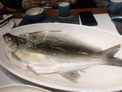 -莫山小馆(大石桥店)