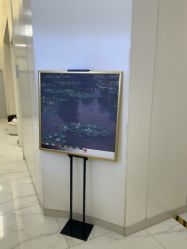 -欧扬医疗美容