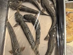 -华盛丰温州大排档(东三环南路店)