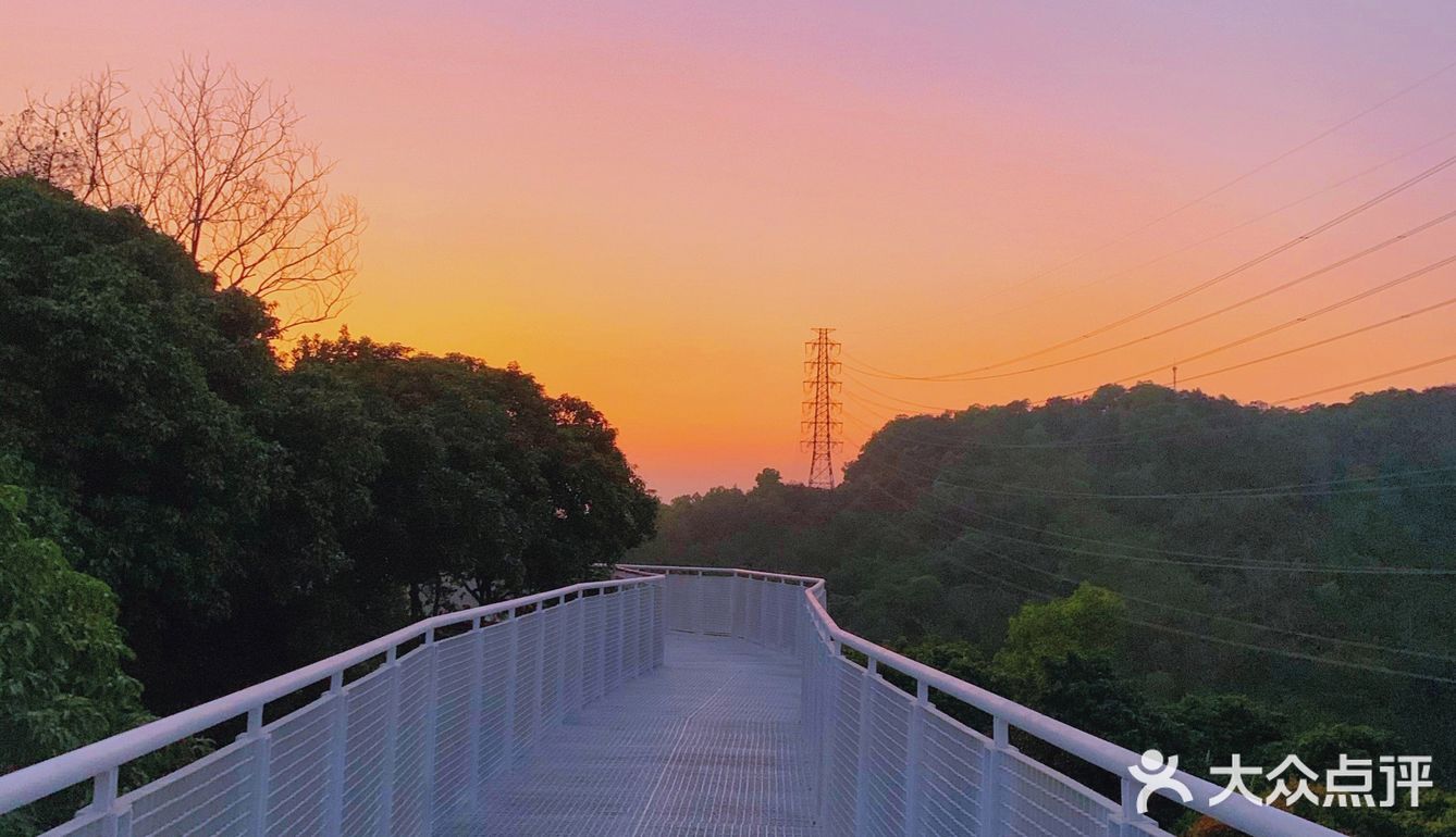 深圳网红桥～白桥