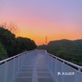 深圳网红桥～白桥