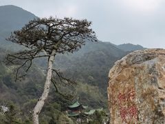 -姑婆山旅游区