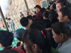 -古柏渡飞黄旅游区