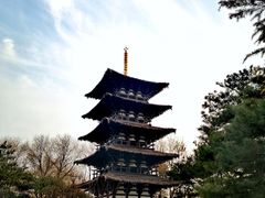 -北京世界公园