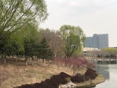 -大兴滨河森林公园