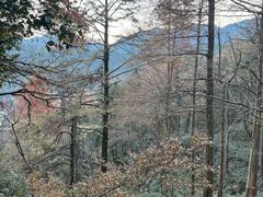 -九华山风景区月身宝殿