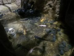 -青青世界