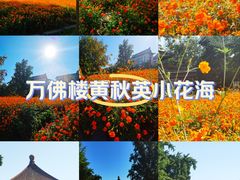 -北海公园