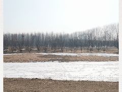 -东郊湿地公园
