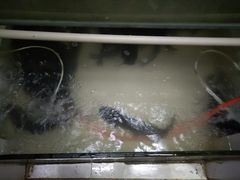 -苗家恒灵酸汤鱼-跳水牛肉连锁店(凯里总店)