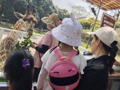 -深圳野生动物园