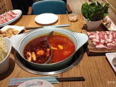 -青瓷火锅料理(西单大悦城店)