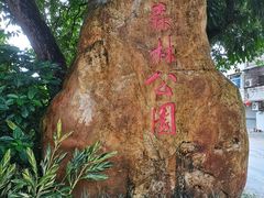 -广州市流溪河国家森林公园