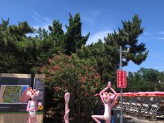 -日照海滨国家森林公园