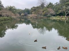 -拙政园