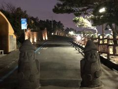 -龙头岩(Dragon Head Rock)