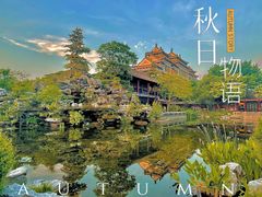 -顺峰山公园
