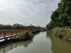-大湾区中央湿地公园