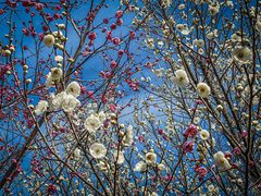 -南京市无想山景区
